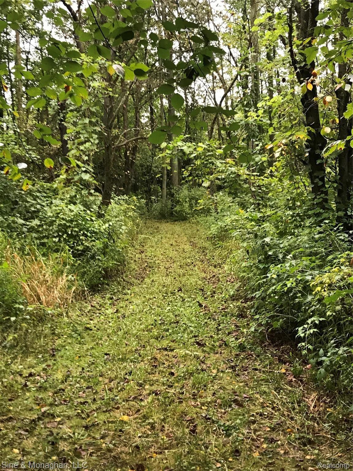 8250 Rattle Run Road Columbus, MI 48063 - Photo 25 of 45 IMG_8183.jpeg