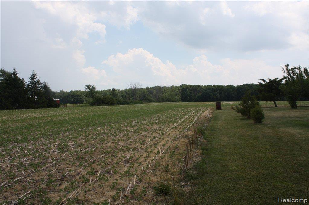 14667 Sharrard Road Allenton, MI 48002 - Photo 11 of 25 Field NW2.JPG