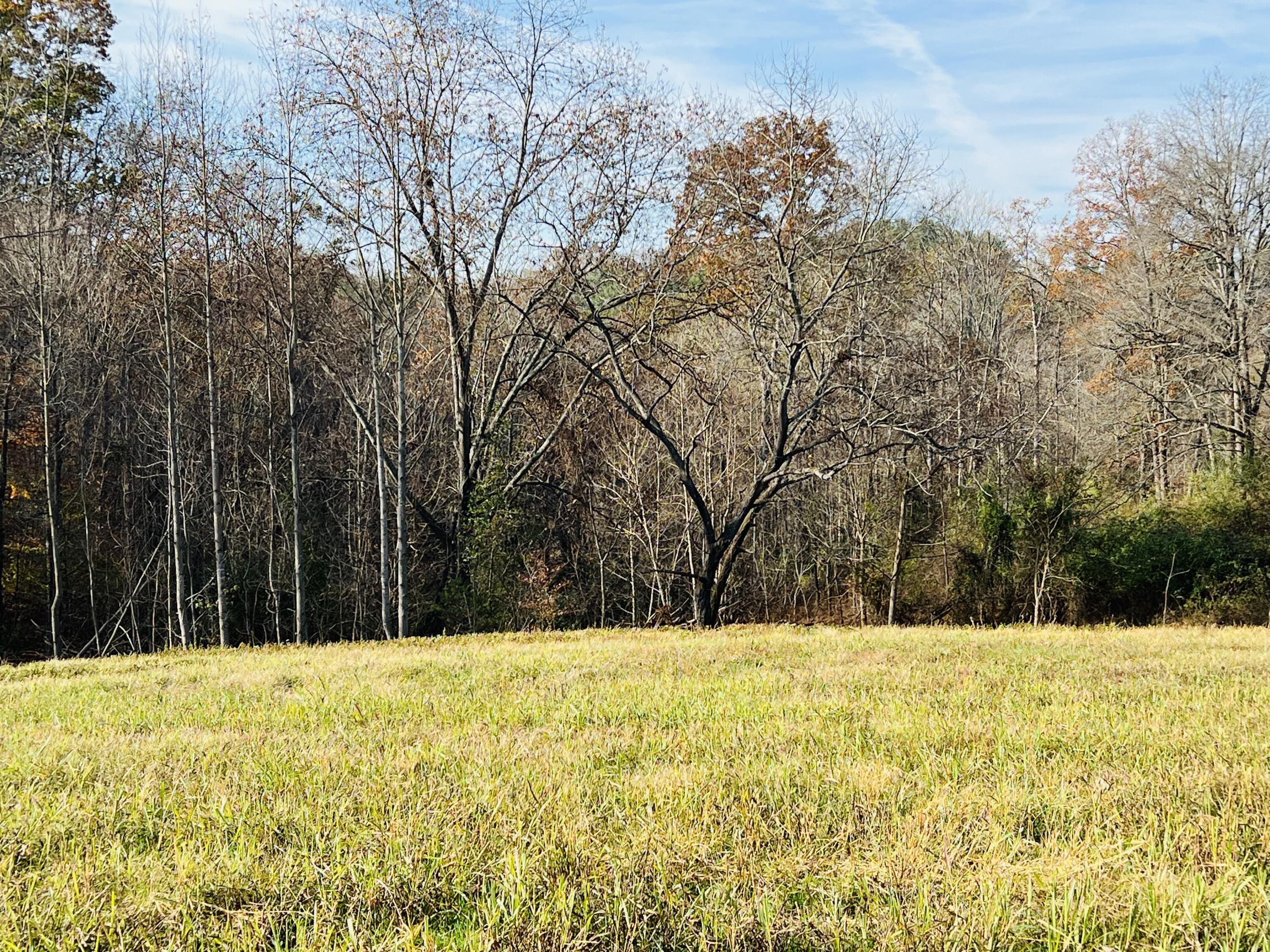10 Newell Road Somerset, KY 42503 - Photo 22 of 37 IMG_7691