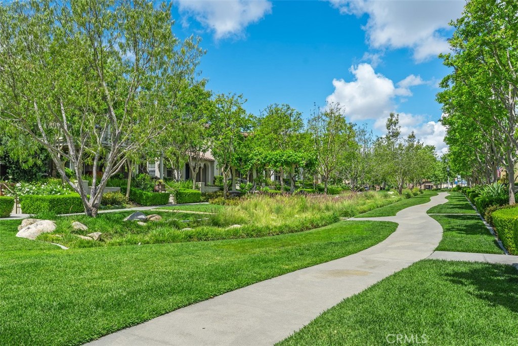 20 Old Mission Road Aliso Viejo, CA 92656 - Photo 29 of 35 a view of a park with large trees