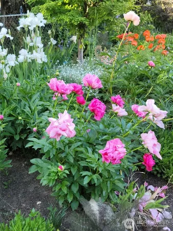 $550,000 | 863 Dow Drive, Walla Walla, WA 99362