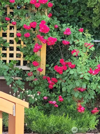 $550,000 | 863 Dow Drive, Walla Walla, WA 99362