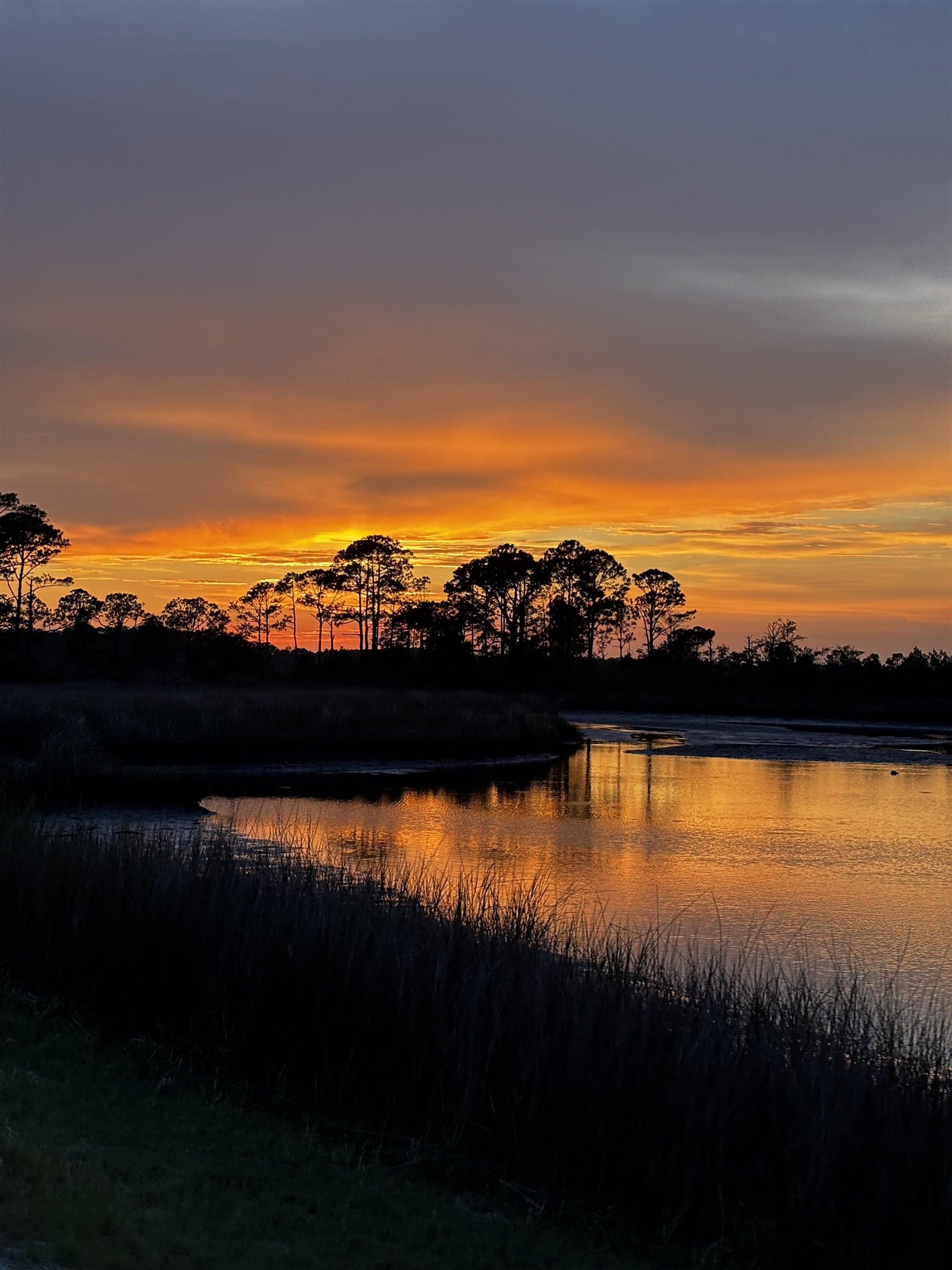 695 Mashes Sands Road, Unit A5 Panacea, FL 32346 - Photo 2 of 53