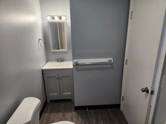 a bathroom with a sink a toilet and mirror