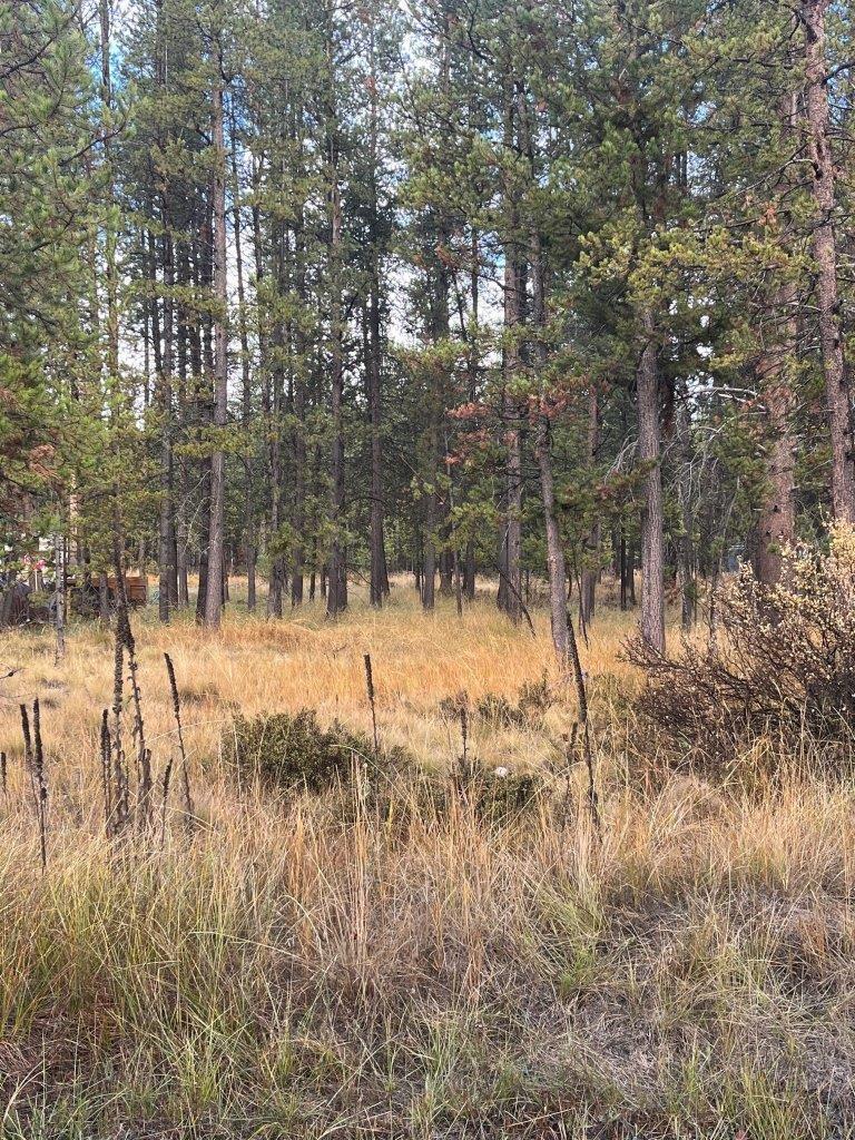 15610 Rim Drive La Pine, OR 97739 - Photo 1 of 9 1