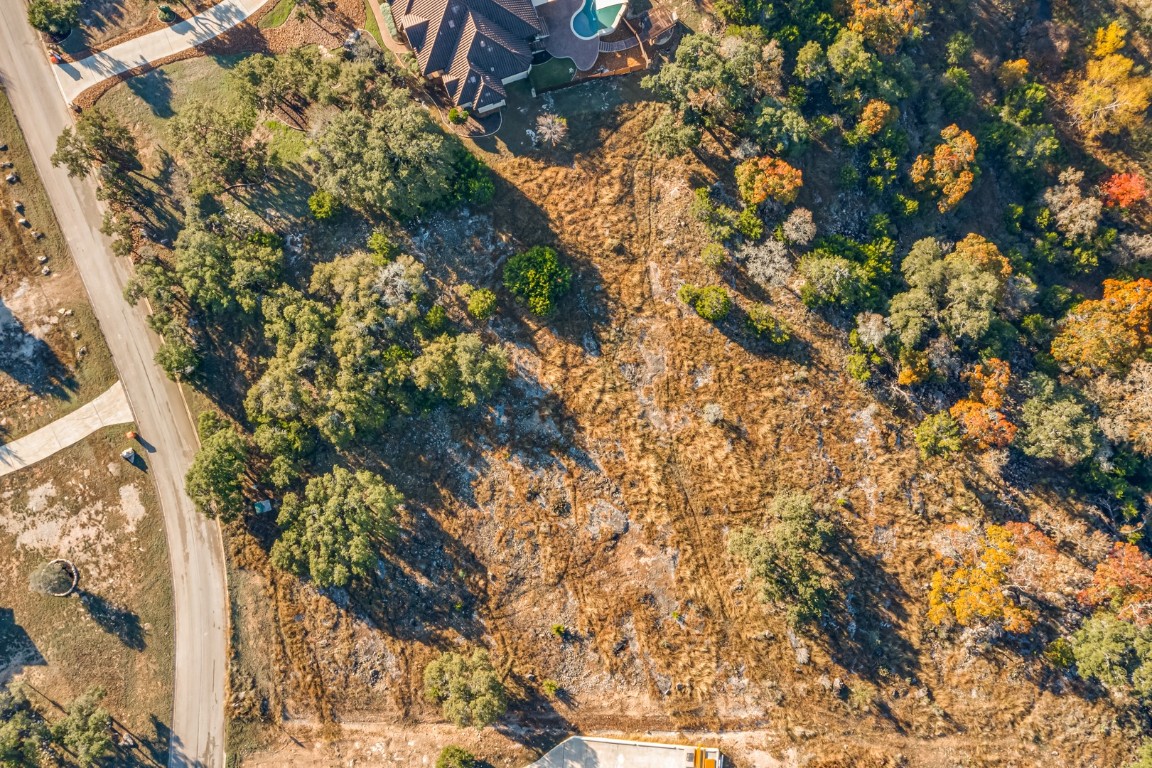 420 Havasu Point Spring Branch, TX 78070 - Photo 1 of 12 a picture of a tree