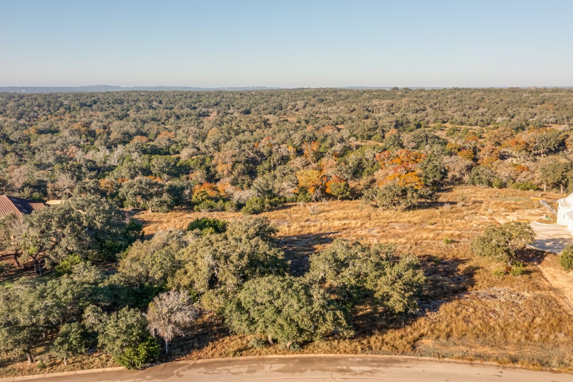 420 Havasu Point Spring Branch, TX 78070 - Photo 11 of 12 an aerial view of house with yard