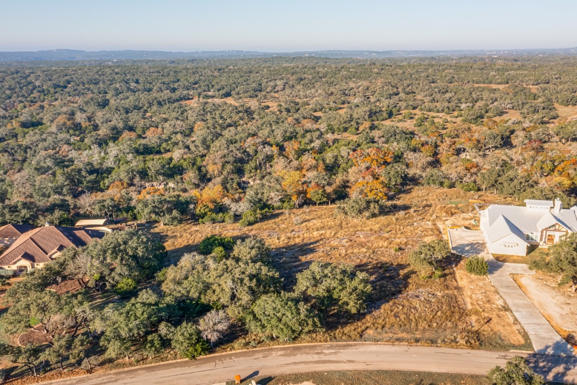 420 Havasu Point Spring Branch, TX 78070 - Photo 4 of 12 an aerial view of house with yard
