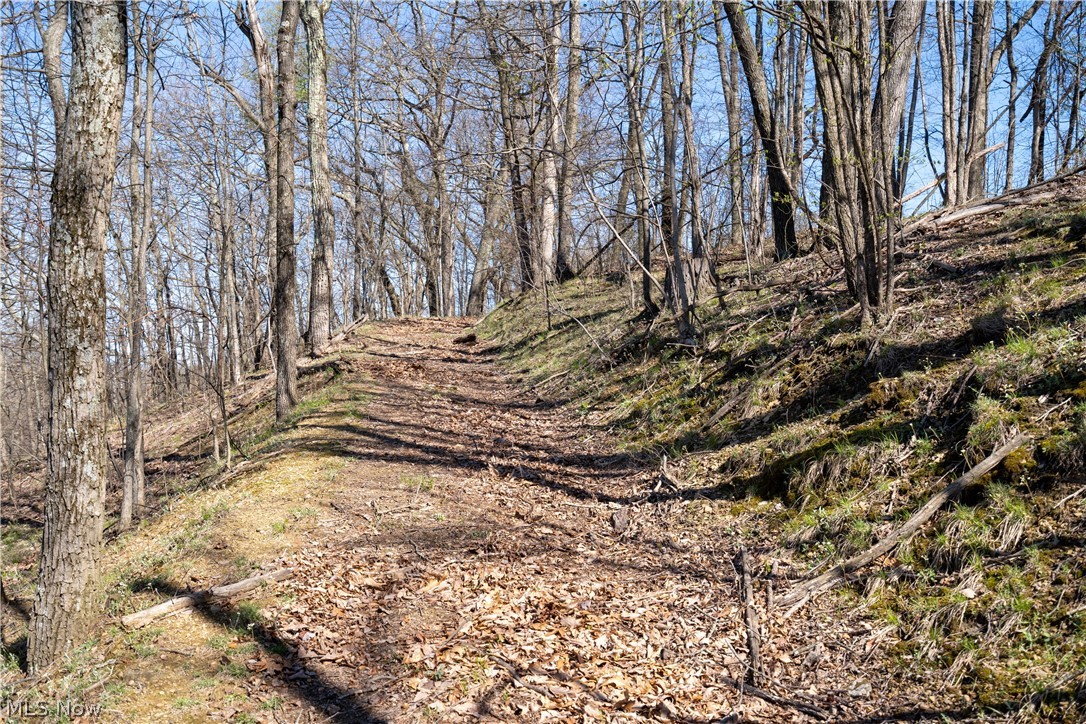Sealover Hollow Rd Road Philo, OH 43771 - Photo 10 of 36