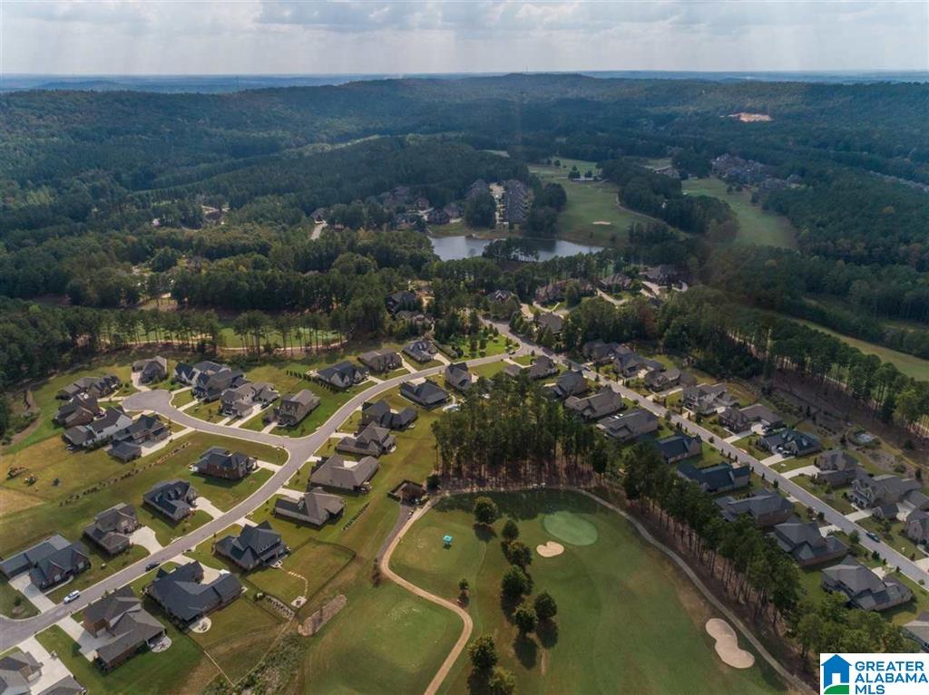 319 Kilkerran Lane Pelham, AL 35124 - Photo 42 of 45