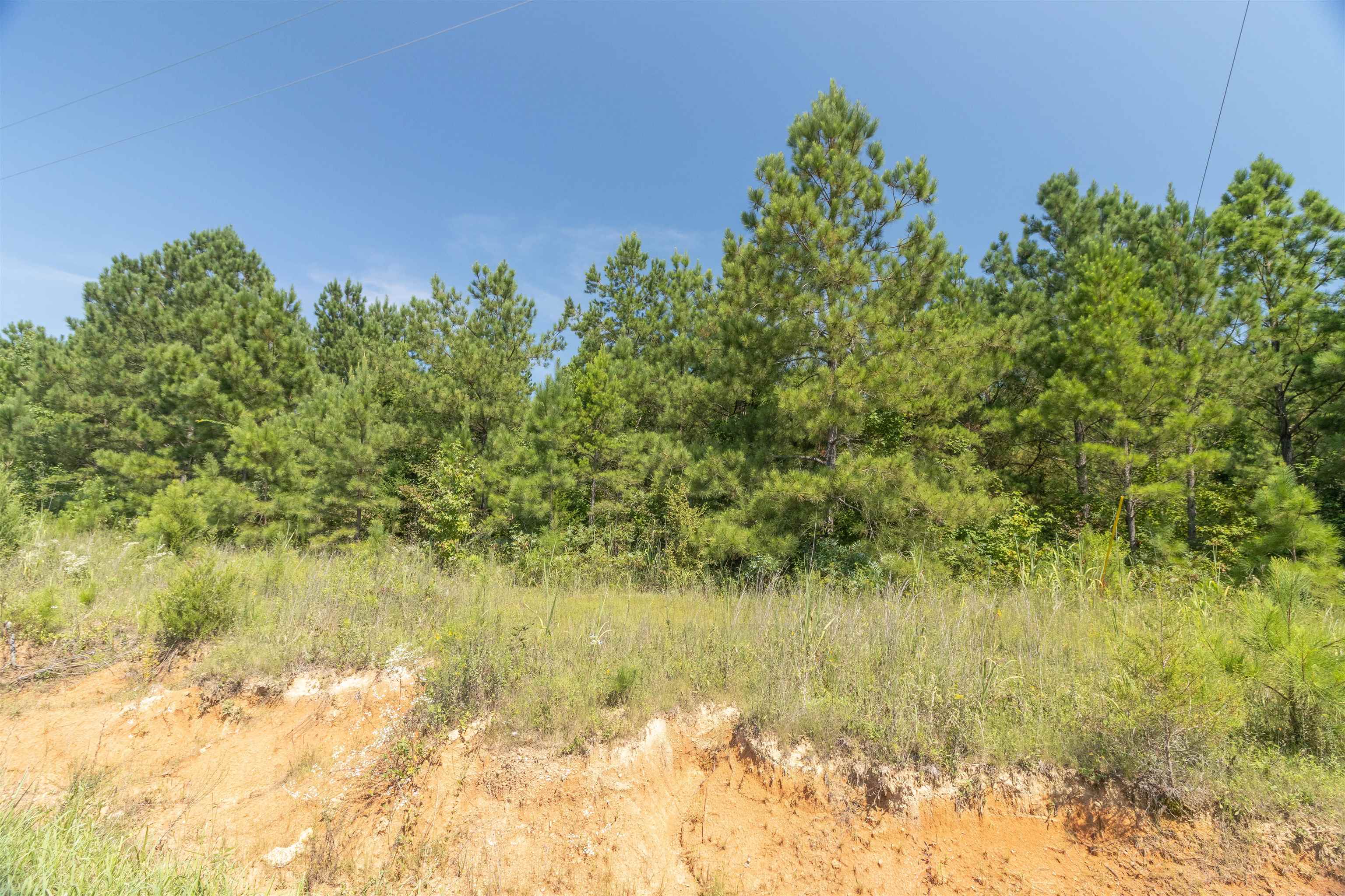 11 Lookout Lane Ramer, TN 38367 - Photo 4 of 28 Gallery Image 4