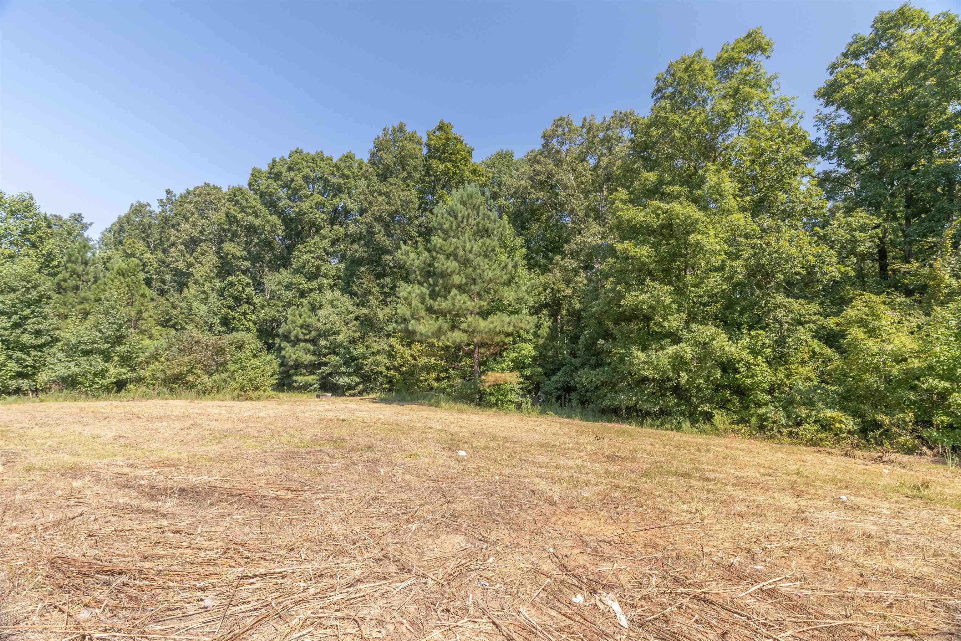 11 Lookout Lane Ramer, TN 38367 - Photo 5 of 28 Gallery Image 5