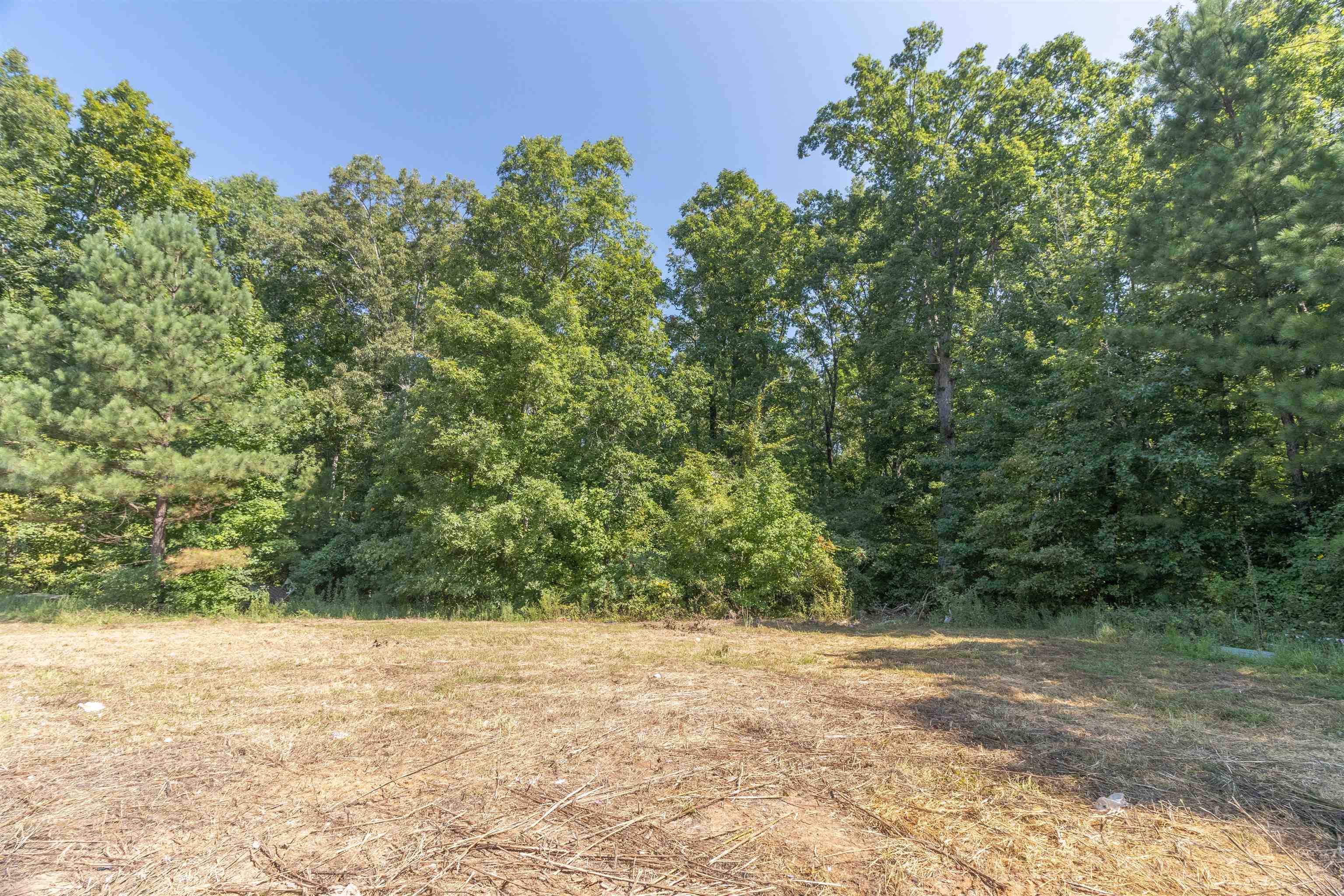 11 Lookout Lane Ramer, TN 38367 - Photo 6 of 28 Gallery Image 6