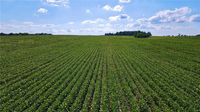 $210,000 | 160 Highway Golden City Mo 64748, Golden City, MO 64748