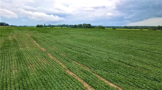 $210,000 | 160 Highway Golden City Mo 64748, Golden City, MO 64748