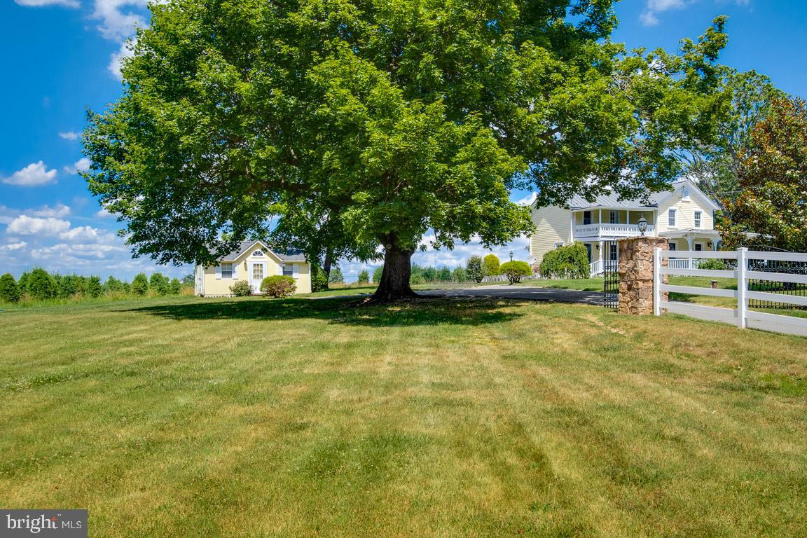 933 Berrys Ferry Road White Post, VA 22663 - Photo 11 of 64