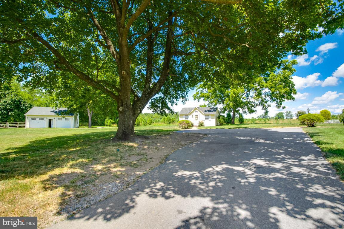 933 Berrys Ferry Road White Post, VA 22663 - Photo 15 of 64