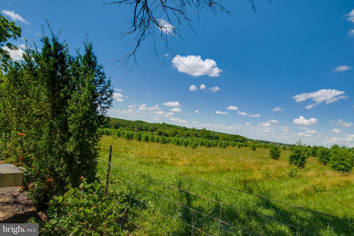 933 Berrys Ferry Road White Post, VA 22663 - Photo 22 of 64