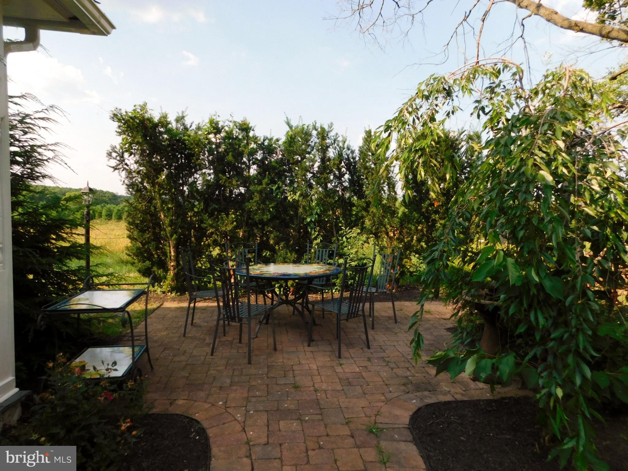 933 Berrys Ferry Road White Post, VA 22663 - Photo 27 of 64