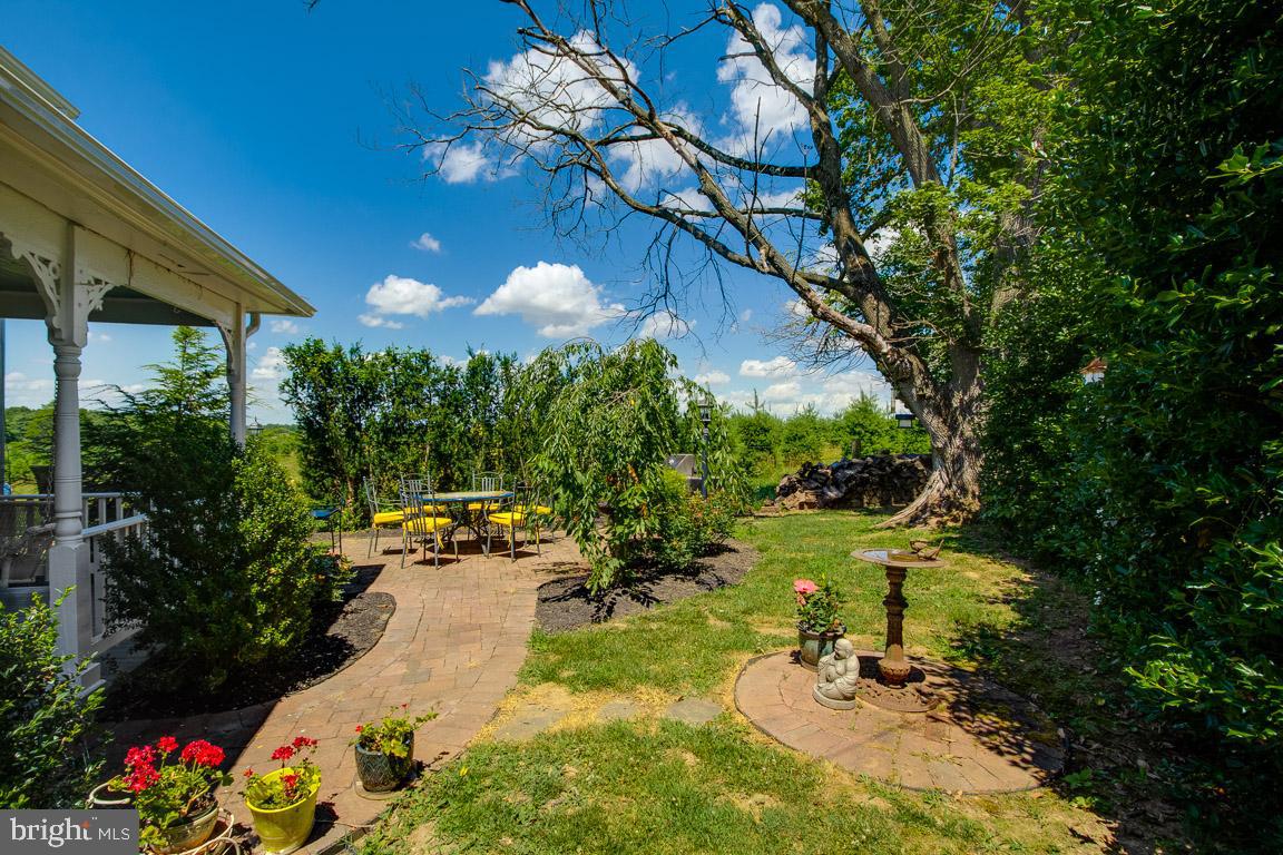 933 Berrys Ferry Road White Post, VA 22663 - Photo 29 of 64