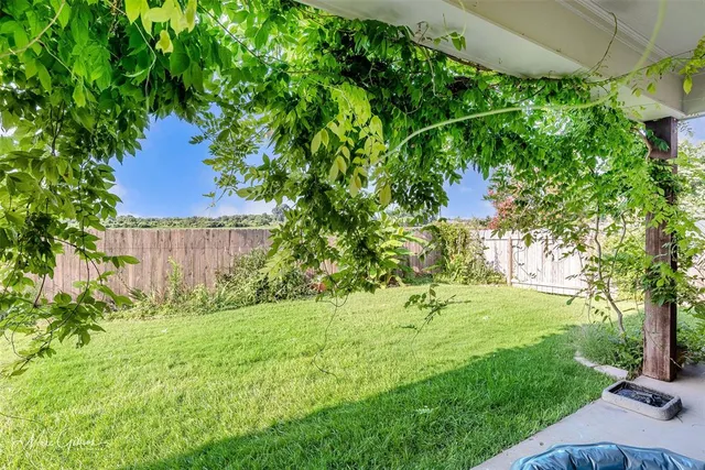 a backyard of a house with plants and large trees
