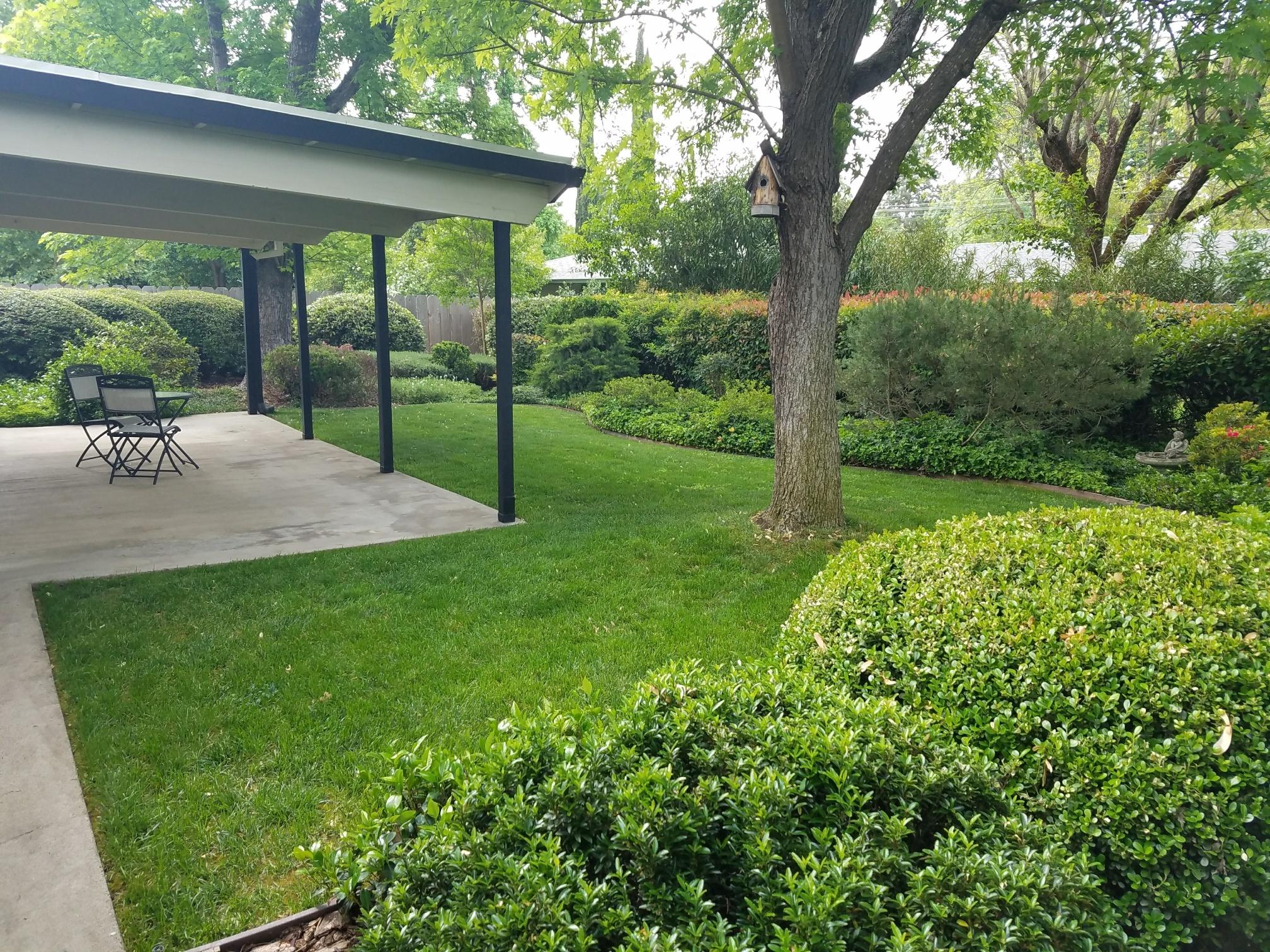 3490 Bardick Road Anderson, CA 96007 - Photo 16 of 20 Backyard 2