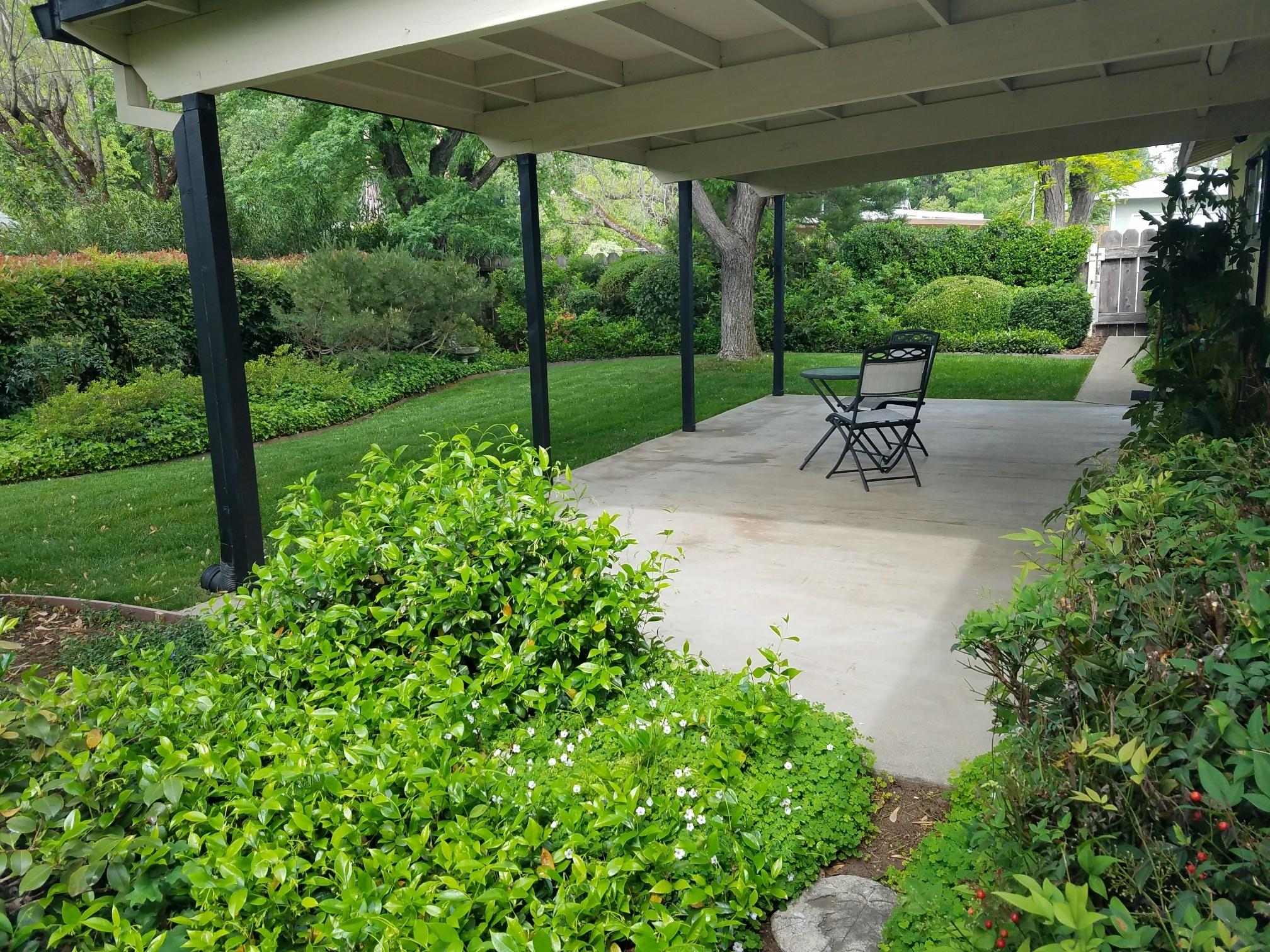 3490 Bardick Road Anderson, CA 96007 - Photo 18 of 20 Backyard 3