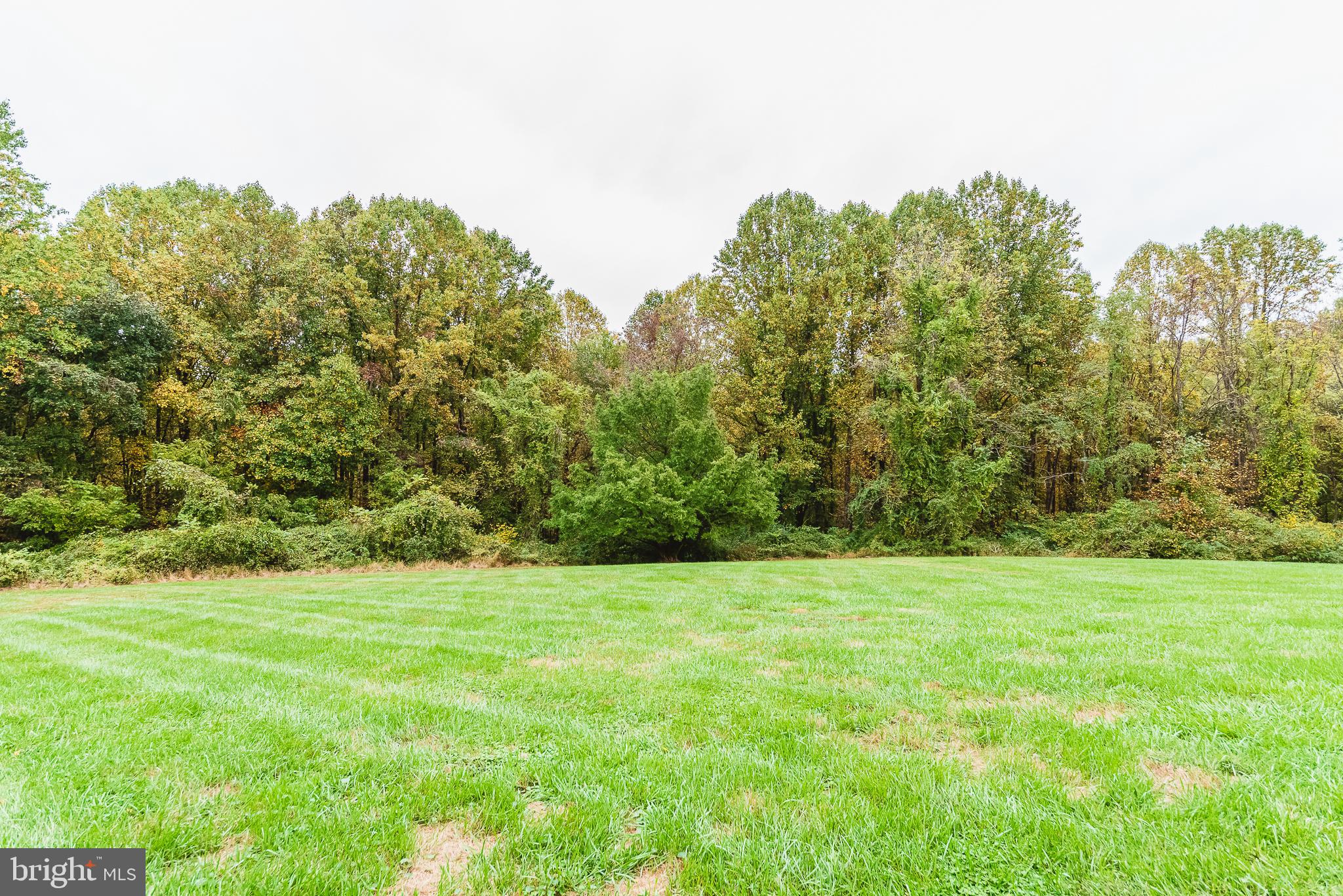 2310 McComas Road White Hall, MD 21161 - Photo 24 of 91