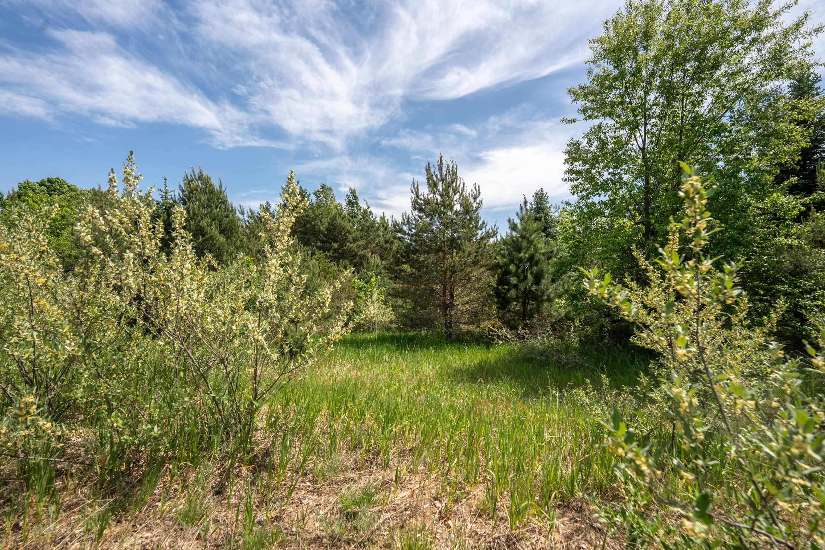 Tbd Traverse Road Thompsonville, MI 49683 - Photo 22 of 40