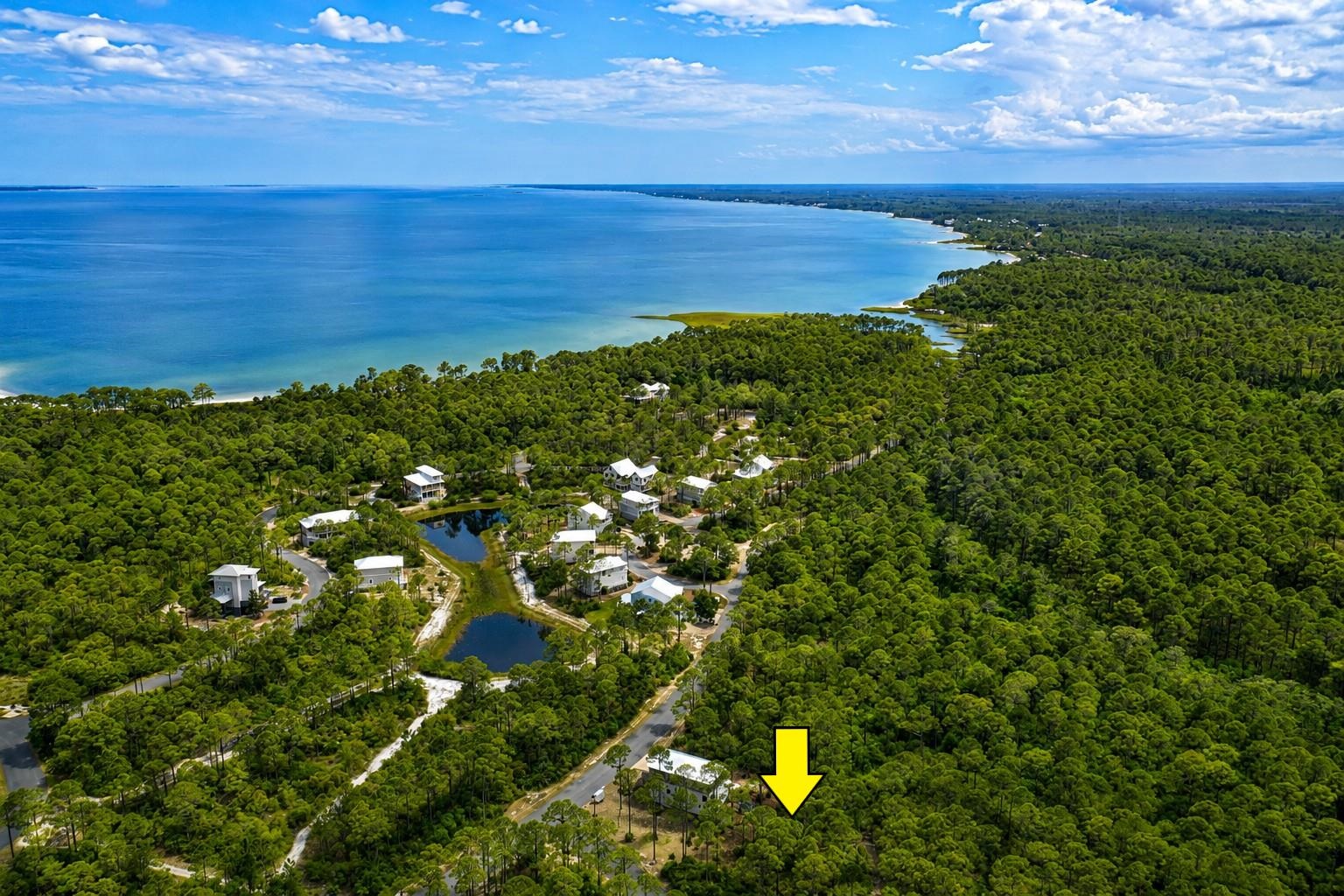 133 Fishhook Way Sopchoppy, FL 32358 - Photo 6 of 28