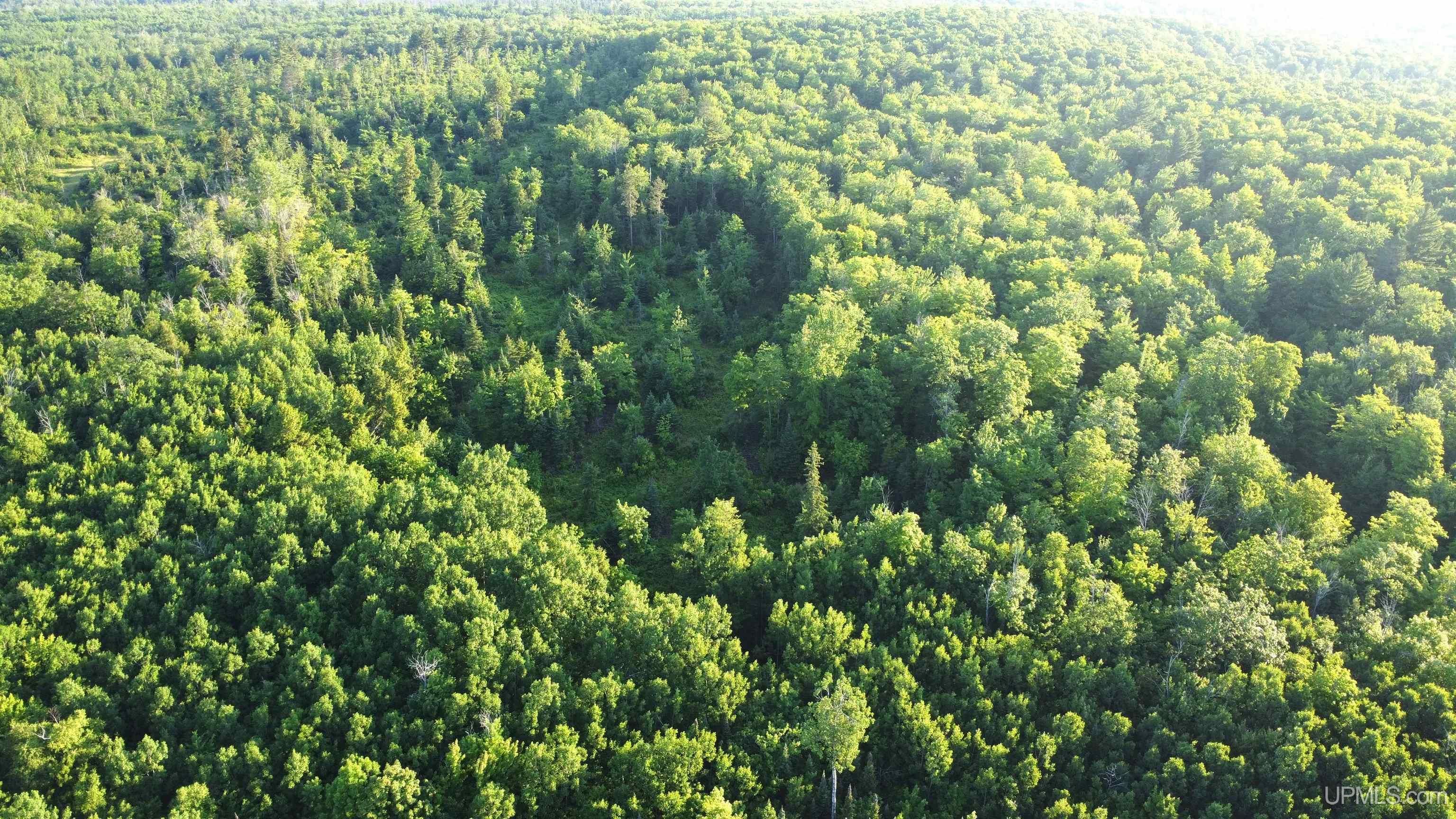Off Brown Deer Road Marquette, MI 49855 - Photo 6 of 13