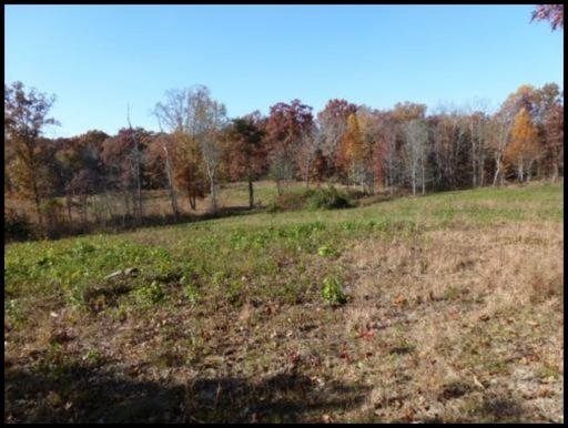 L D York Road Grimsley, TN 38565 - Photo 1 of 6 Primary Photo