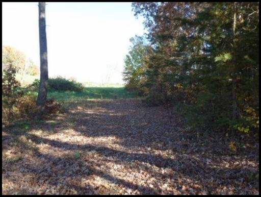 L D York Road Grimsley, TN 38565 - Photo 2 of 6 Additional Photo