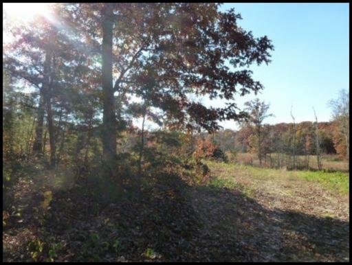 L D York Road Grimsley, TN 38565 - Photo 3 of 6 Additional Photo