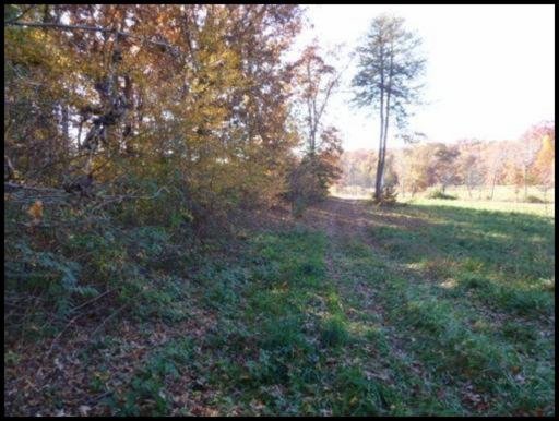 L D York Road Grimsley, TN 38565 - Photo 4 of 6 Additional Photo
