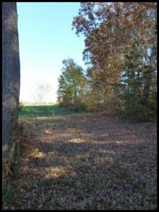 L D York Road Grimsley, TN 38565 - Photo 5 of 6 Additional Photo