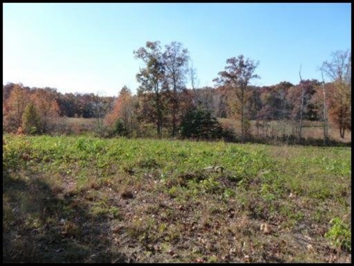 L D York Road Grimsley, TN 38565 - Photo 6 of 6 Additional Photo