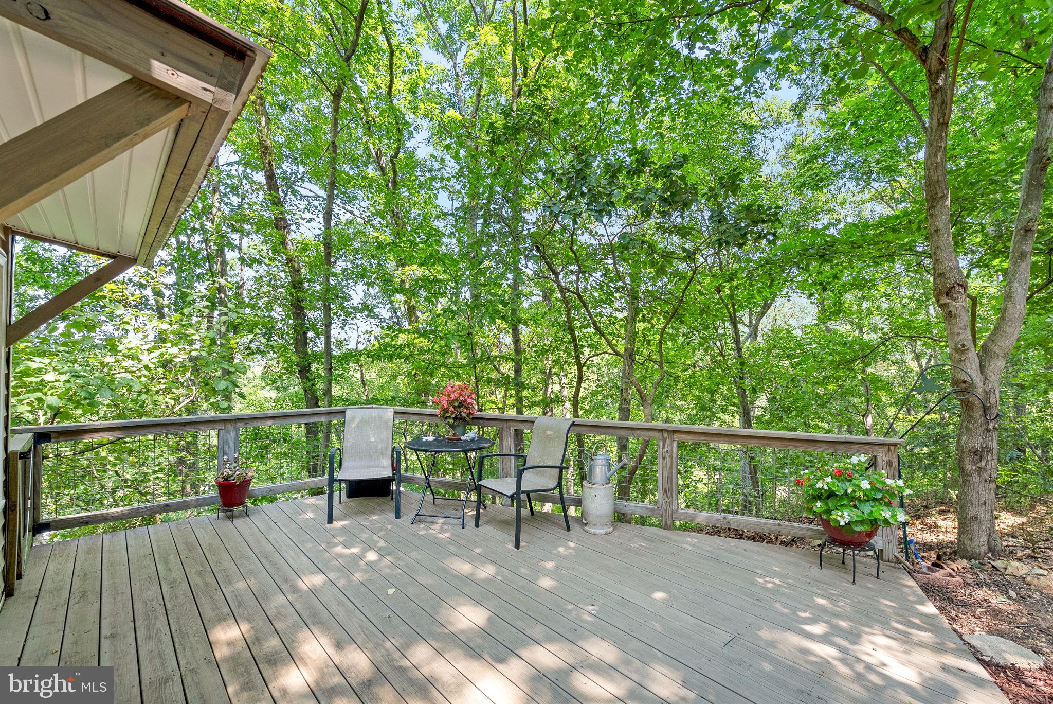 622 Timber Lane Bluemont, VA 20135 - Photo 5 of 35