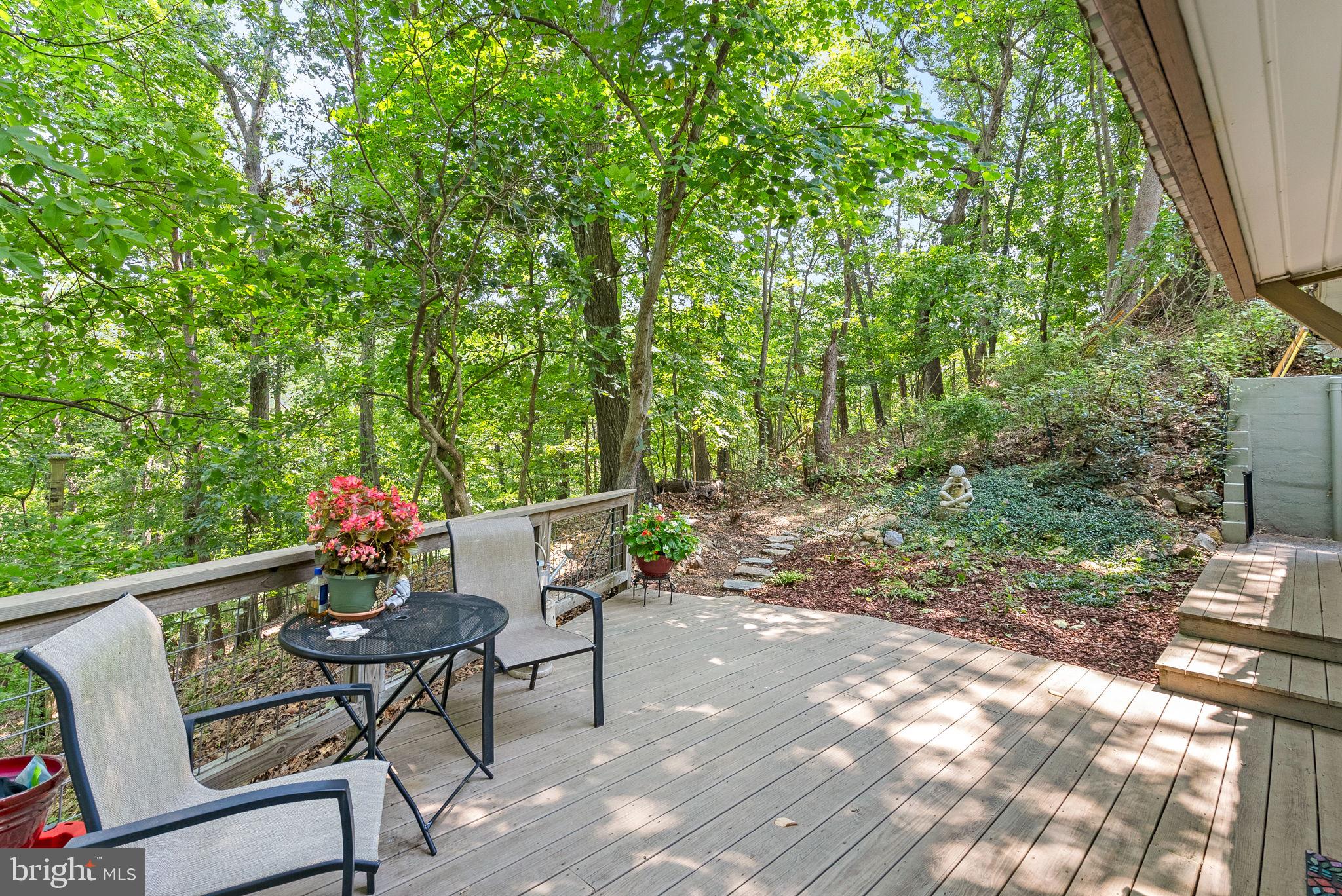 622 Timber Lane Bluemont, VA 20135 - Photo 6 of 35
