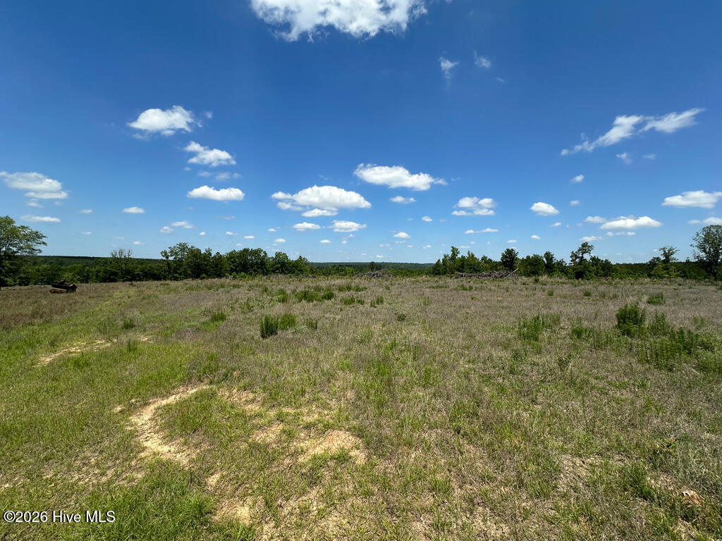 4791 Old Waynesboro Road Hephzibah, GA 30815 - Photo 35 of 42 115