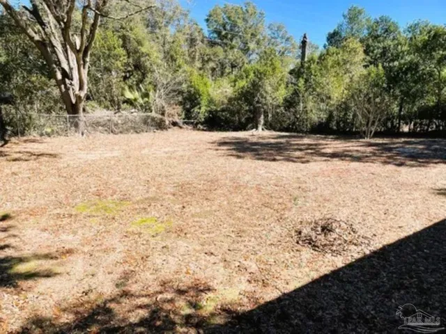 a view of a yard with trees