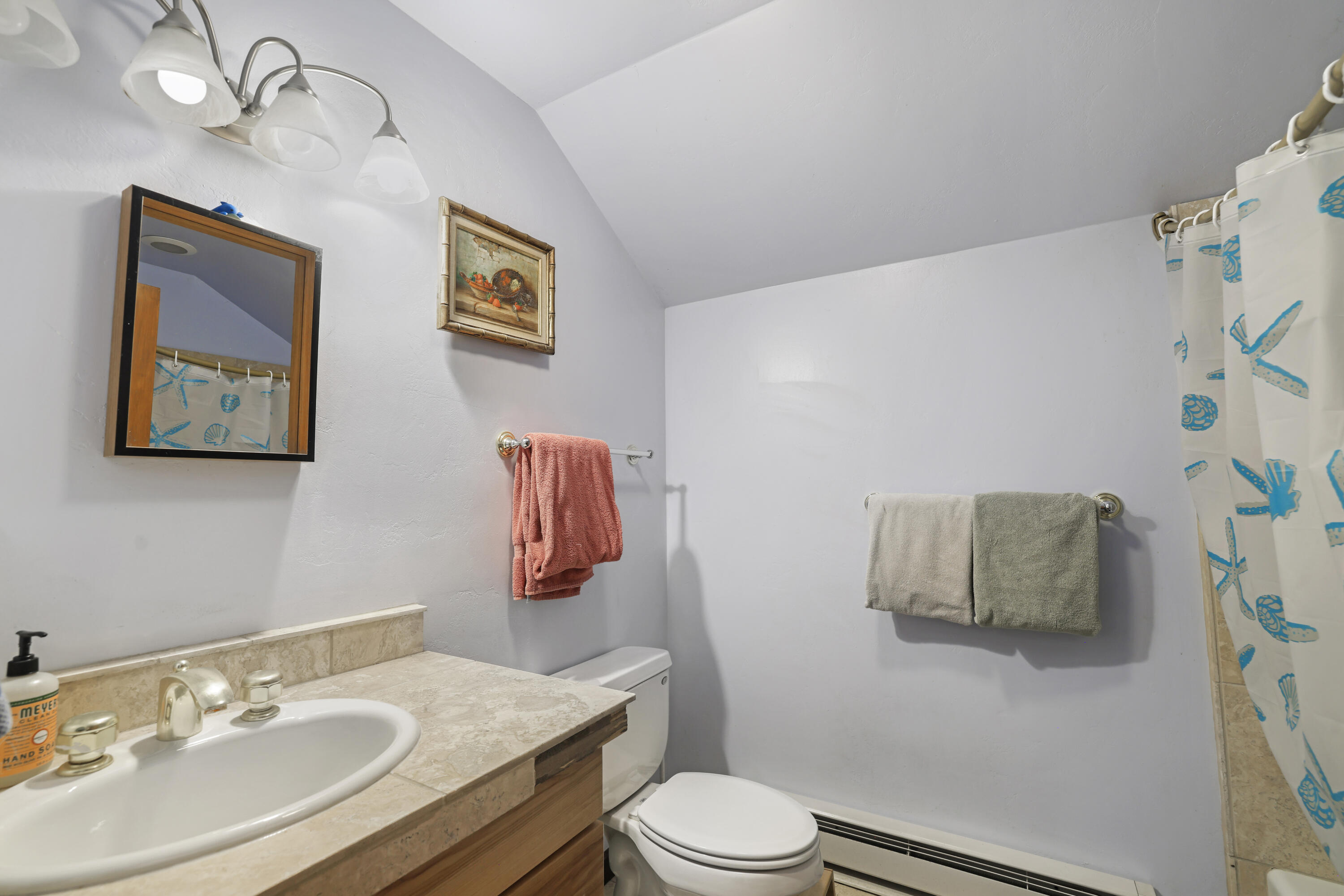 15 Lower Broadford Road Bellevue, ID 83313 - Photo 47 of 57 ADU 2nd Bathroom