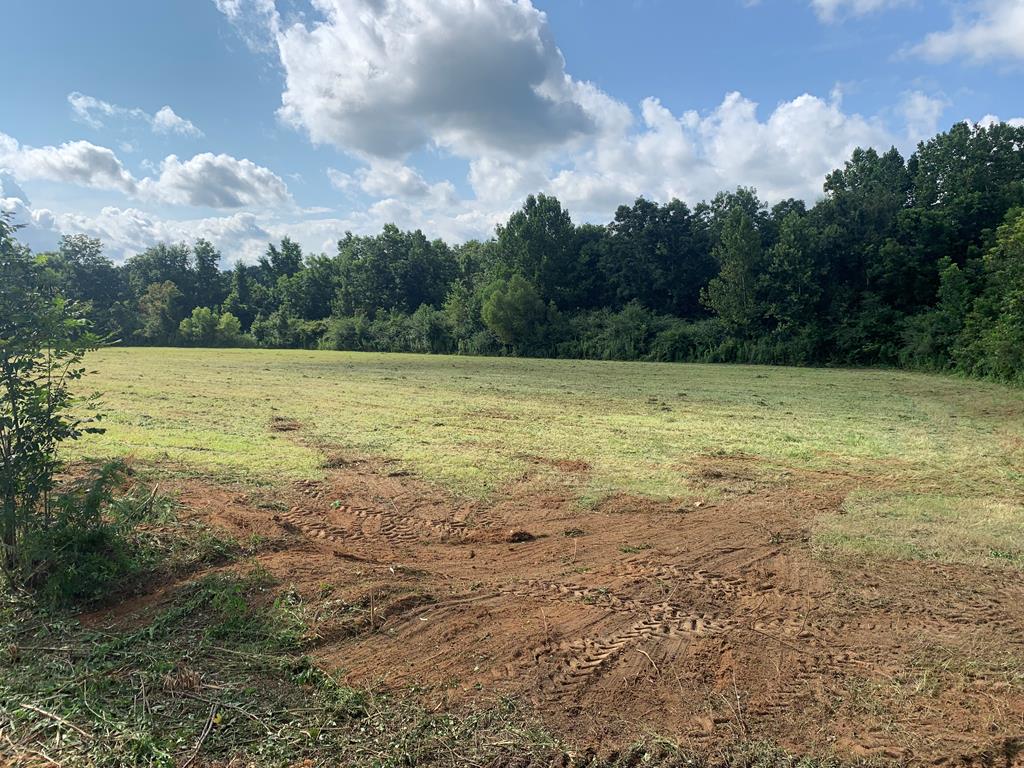 0 H Merritt Road Slocomb, AL 36375 - Photo 1 of 6 Main View