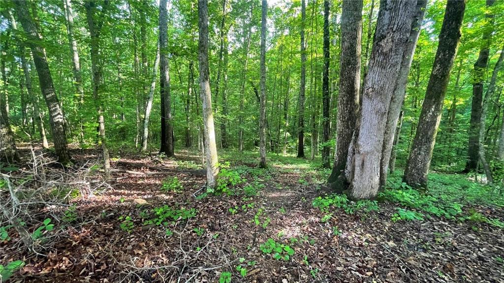 656 Belmont Road Villa Rica, GA 30180 - Photo 14 of 72