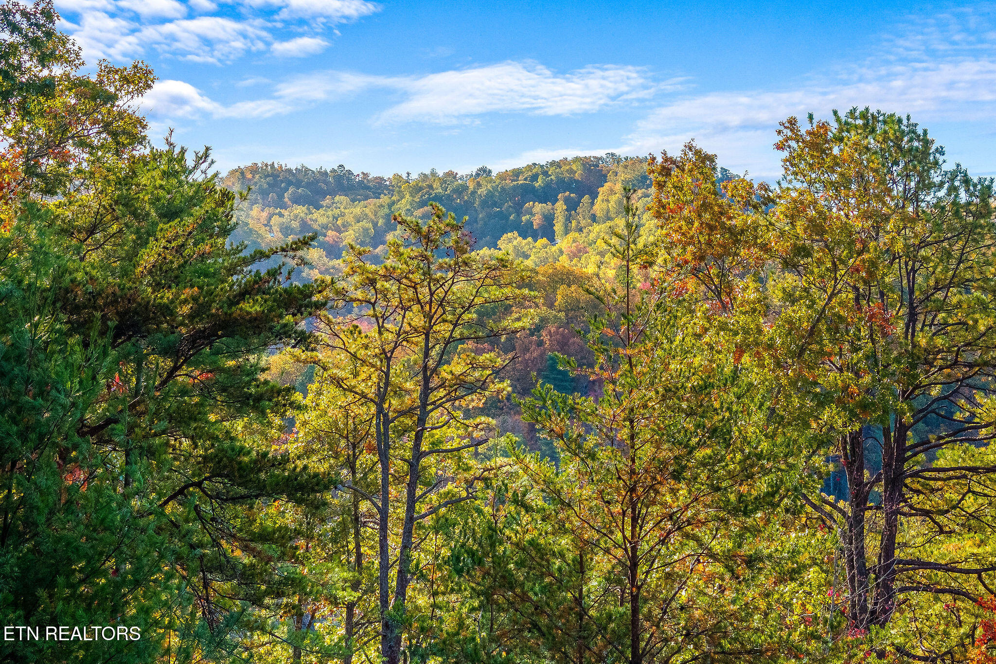 2445 Sunset Road Sevierville, TN 37862 - Photo 44 of 54 2445-sunset-road-42