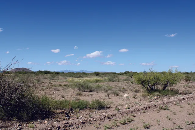 a view of a dry yard with mountains in the background