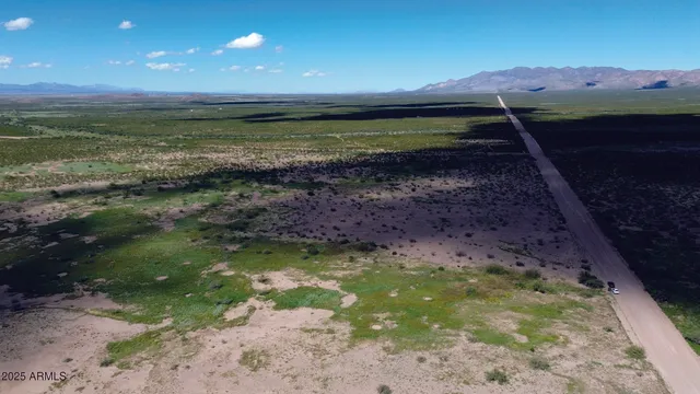 a view of a backyard of a house