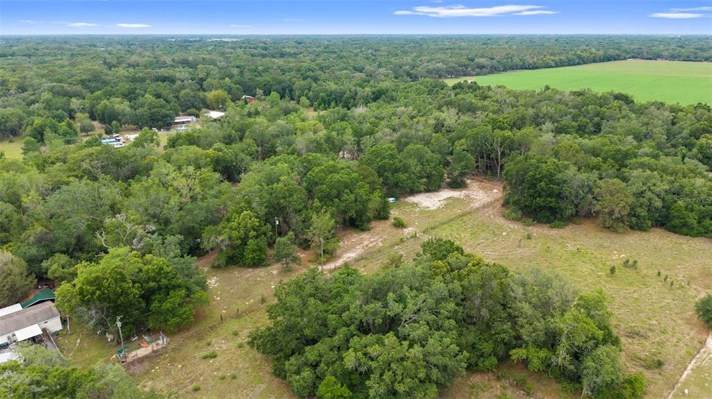 18330 Booming Road Spring Hill, FL 34610 - Photo 38 of 48