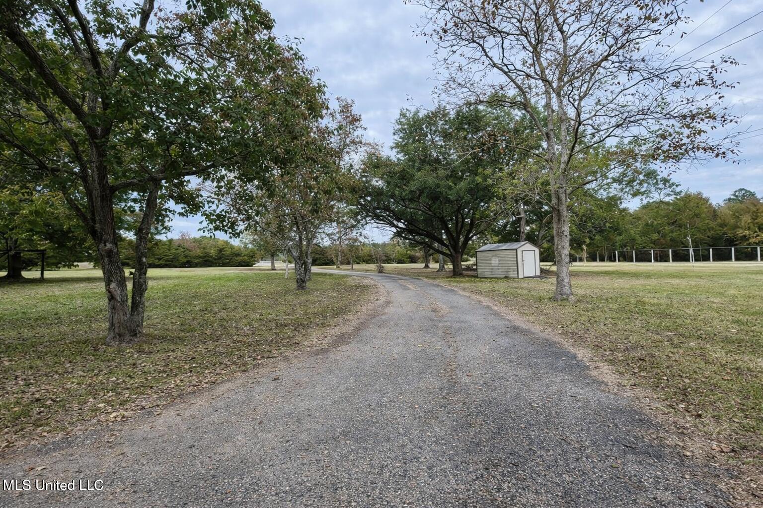 29129 J P Ladner Road Pass Christian, MS 39571 - Photo 5 of 28 driveway