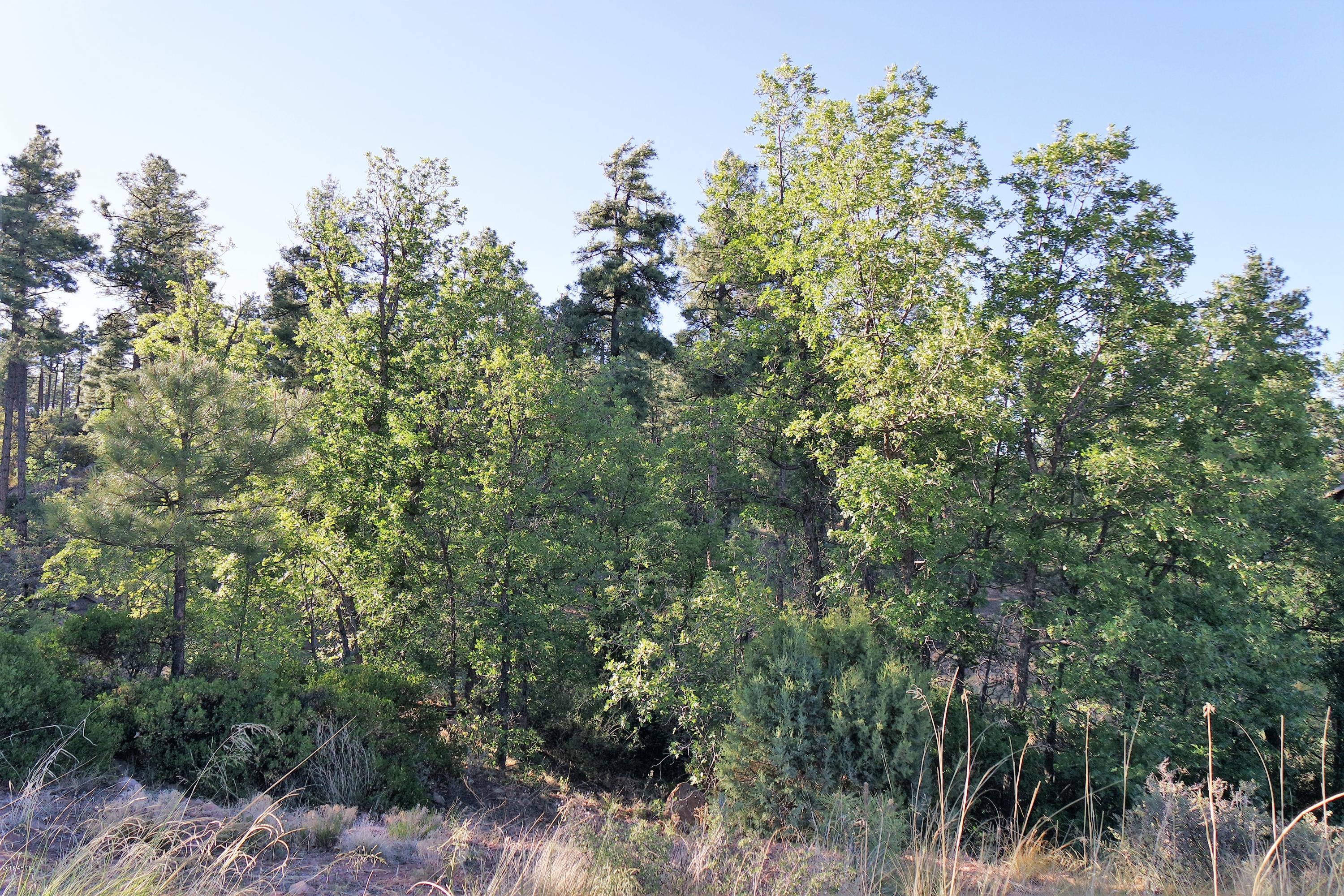 6023 Rim Road, Unit 61 Show Low, AZ 85901 - Photo 4 of 10 In the Pines